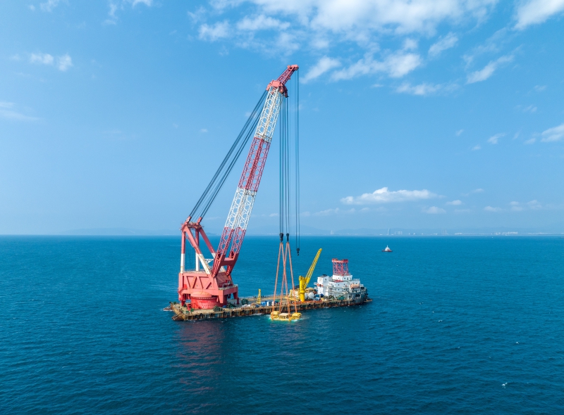 �������ʡ�w66(�й�)���������