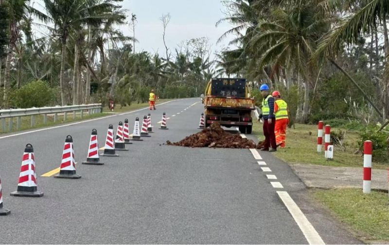 �������ʡ�w66(�й�)���������